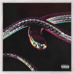 Don Design – Python ft. AKA, Moozlie