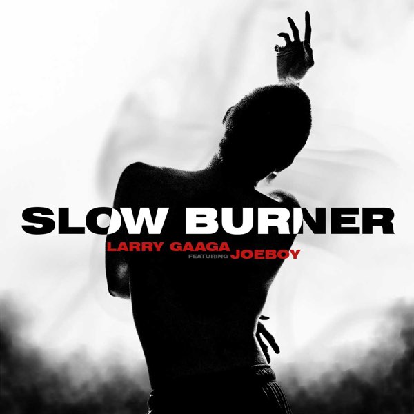 Larry Gaaga Ft. Joeboy – Slow Burner