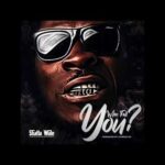 Shatta Wale – Who Tell You