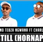 Tsebe Boy & Tebza Ngwana – Still (Hornappela) Ft. Charles Mkhulu