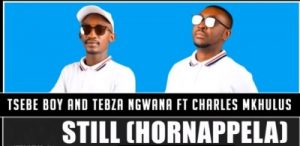 Tsebe Boy & Tebza Ngwana – Still (Hornappela) Ft. Charles Mkhulu