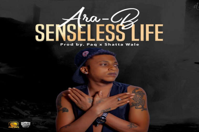 Ara-B – Senseless Life