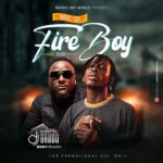 Best Of Fireboy Mix By Dj Baddo