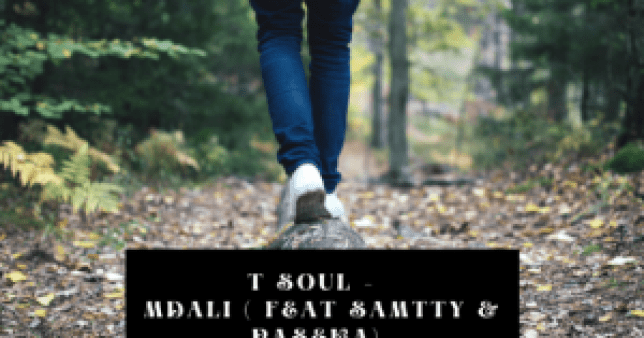 T Soul SA – Mdali Ft Samtty & Paseka