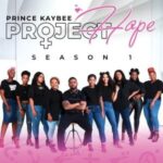 PRINCE KAYBEE – HA KE SA KGONE