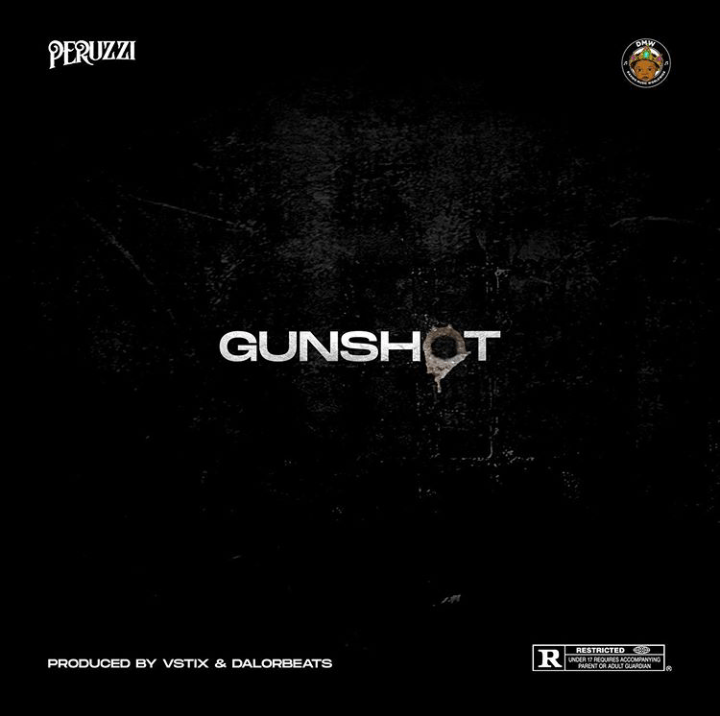 Peruzzi – Gunshot