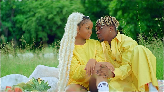 VIDEO: Rayvanny ft. Zuchu – Number One