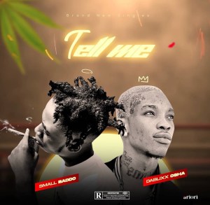 Small Baddo Ft Dablixx Osha – Tell me