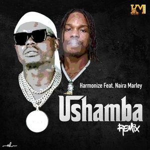 Harmonize ft. Naira Marley – Ushamba (Remix)