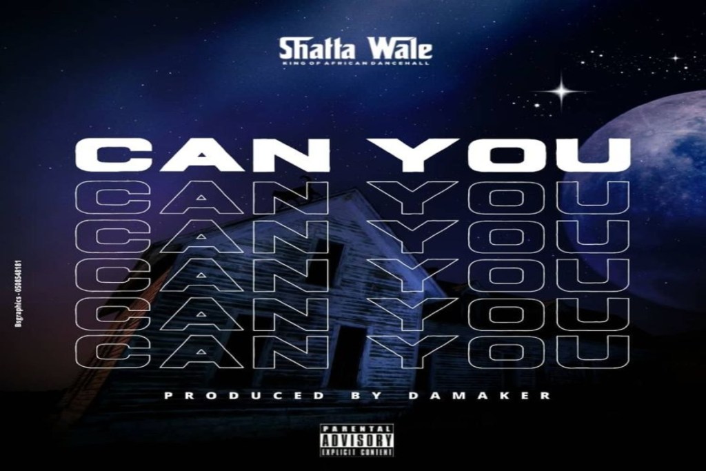 shatta wale – can you 1