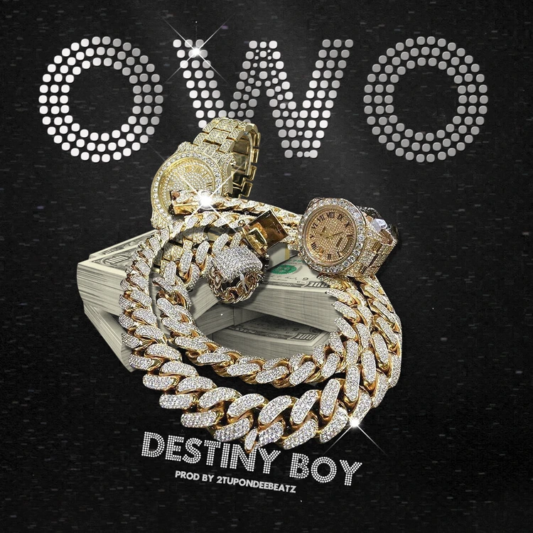 Destiny Boy – OWO