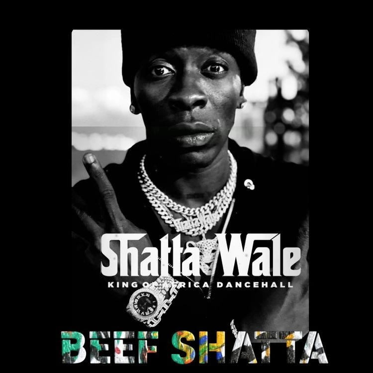 Shatta Wale – Beef
Shatta