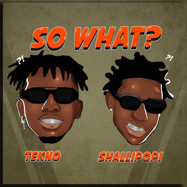 Tekno – So What? Ft.
Shallipopi